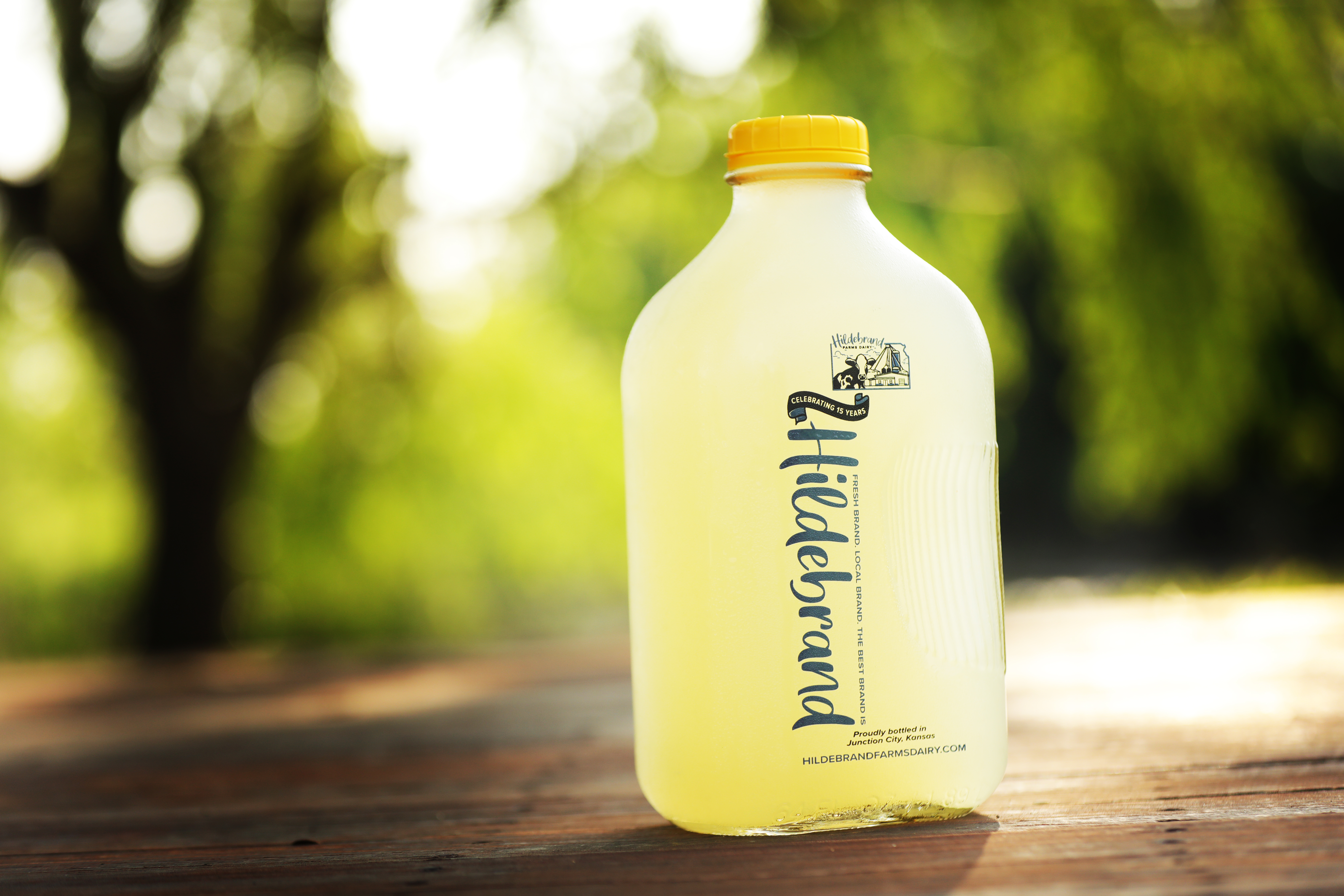 Hildebrand Farms Dairy website and photography work